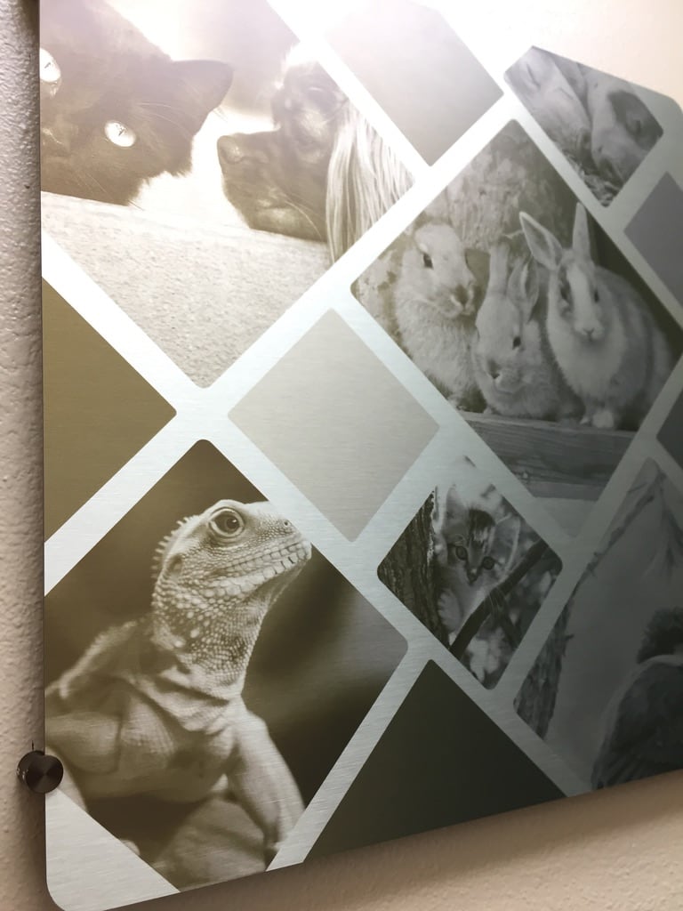 wall graphic Wall graphic of black and white animal photos in a diagonal collage